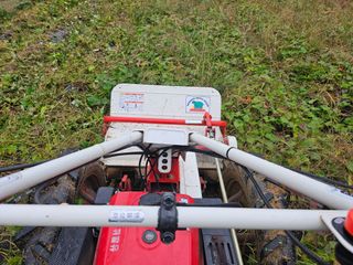 (주)연리지윤태금님의 고구마 · 영농일지 작성글 사진