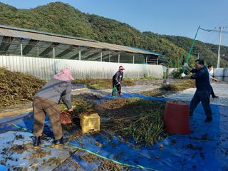 김영문님의 자유주제 · 자유게시판 작성글 사진