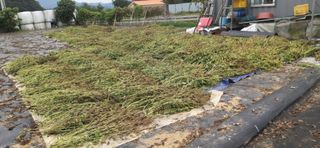 김영문님의 자유주제 · 자유게시판 작성글 사진