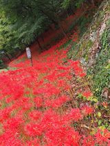 팜모닝 · 게시글 이미지