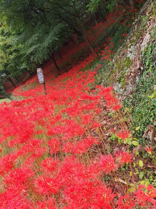 딸기15519님의 작성글 사진