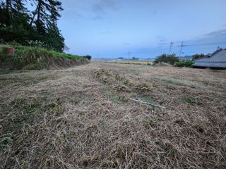 고추24376님의 콩 · 영농일지 작성글 사진