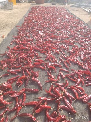 나주 박정화님의 자유주제 · 자유게시판 작성글 사진