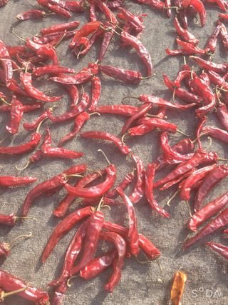 나주 박정화님의 자유주제 · 자유게시판 작성글 사진