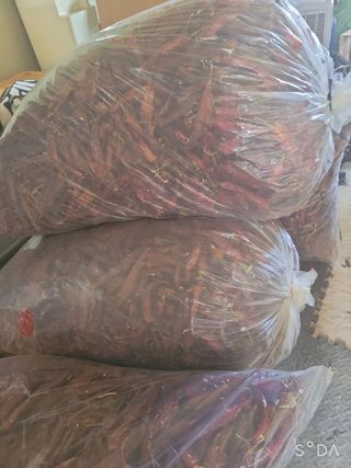 나주 박정화님의 자유주제 · 자유게시판 작성글 사진