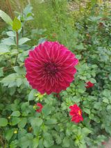 팜모닝 자유주제·사진전 게시글 이미지