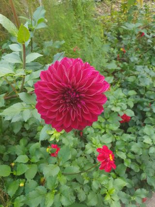 안비님의 자유주제 · 사진전 작성글 사진