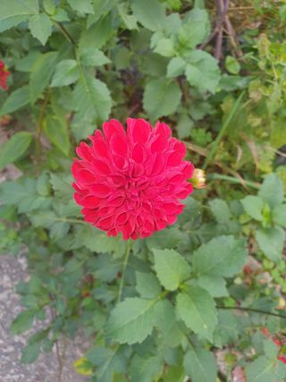 안비님의 자유주제 · 사진전 작성글 사진