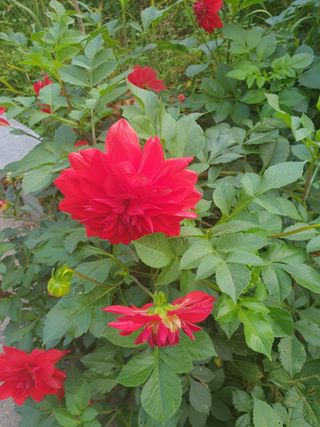 안비님의 자유주제 · 사진전 작성글 사진