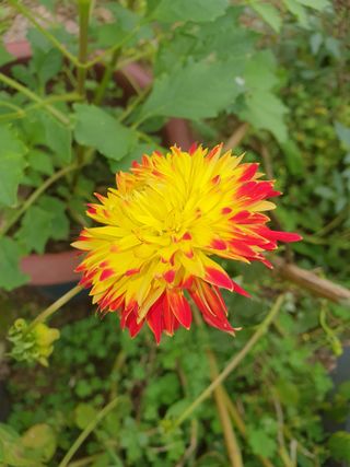 안비님의 자유주제 · 사진전 작성글 사진