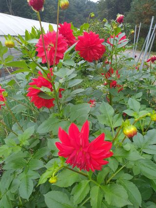 안비님의 자유주제 · 사진전 작성글 사진