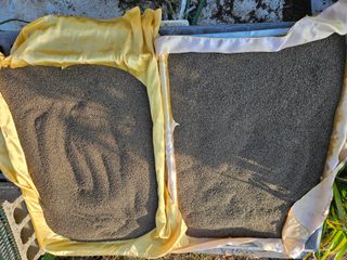 조정숙(1955)님의 들깨 · 영농일지 작성글 사진