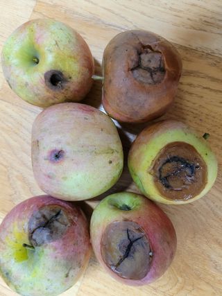 정소망님의 자유주제 · 자유게시판 작성글 사진