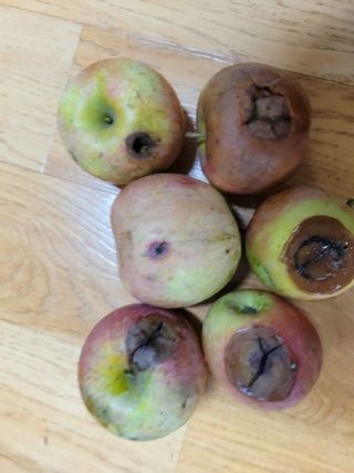 정소망님의 자유주제 · 자유게시판 작성글 사진