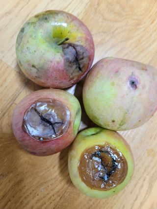 정소망님의 자유주제 · 자유게시판 작성글 사진