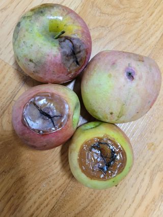 정소망님의 자유주제 · 자유게시판 작성글 사진