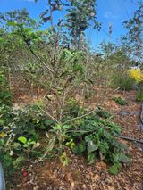 팜모닝 자유주제·자유게시판 게시글 이미지