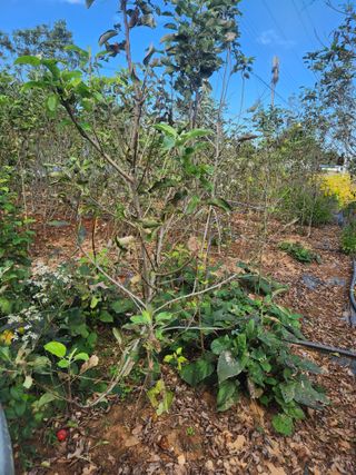 오대원님의 자유주제 · 자유게시판 작성글 사진