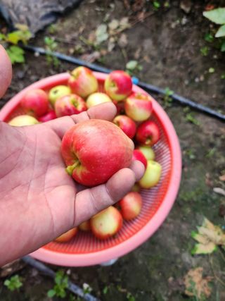 오대원님의 자유주제 · 자유게시판 작성글 사진