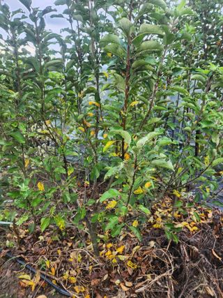 오대원님의 자유주제 · 자유게시판 작성글 사진