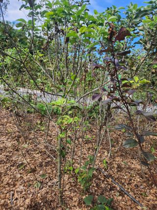 오대원님의 자유주제 · 자유게시판 작성글 사진