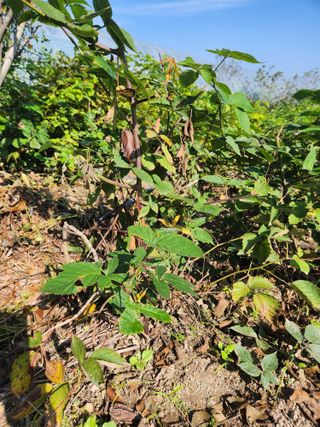 오대원님의 자유주제 · 자유게시판 작성글 사진