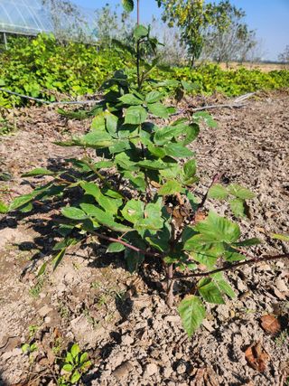 오대원님의 자유주제 · 자유게시판 작성글 사진