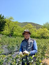 팜모닝 기타작물·영농일지 게시글 이미지