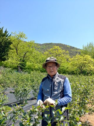 신헌기님의 기타작물 · 영농일지 작성글 사진