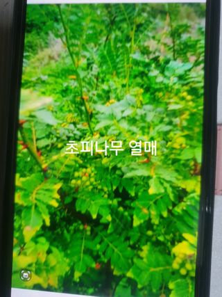 허굴산농장님의 자유주제 · 자유게시판 작성글 사진