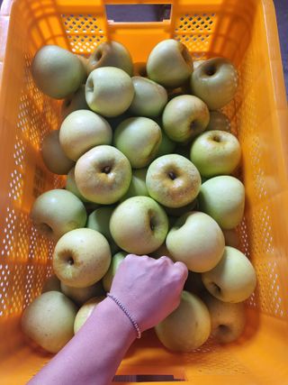 하늘아래사과나무님의 작성글 사진