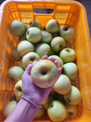 하늘아래사과나무님의 작성글 사진