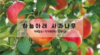 하늘아래사과나무님의 작성글 사진