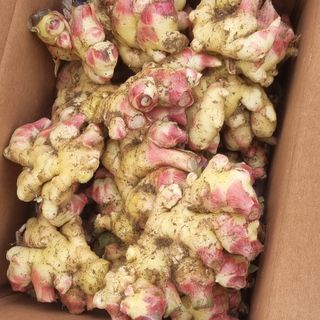 박사원농장님의 작성글 사진