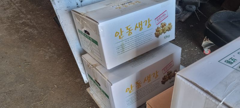 박사원농장님의 장터 판매 상품 [생강 10kg] 첨부 사진