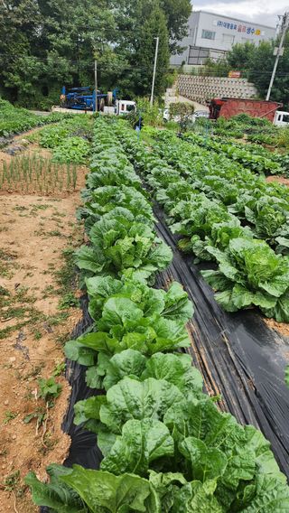 김동일님의 자유주제 · 자유게시판 작성글 사진