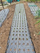 팜모닝 자유주제·자유게시판 게시글 이미지