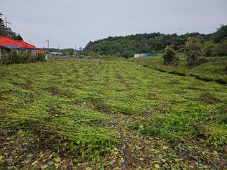 김금철님의 자유주제 · 자유게시판 작성글 사진