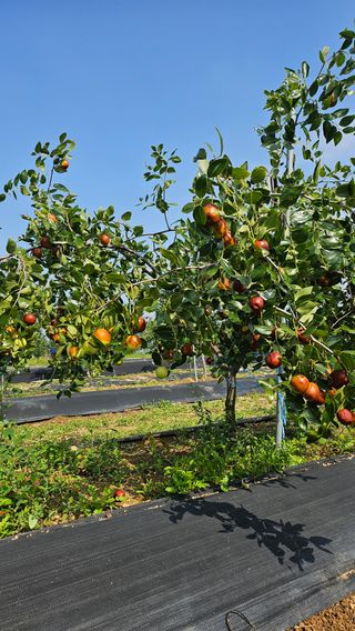 서연님의 작성글 사진