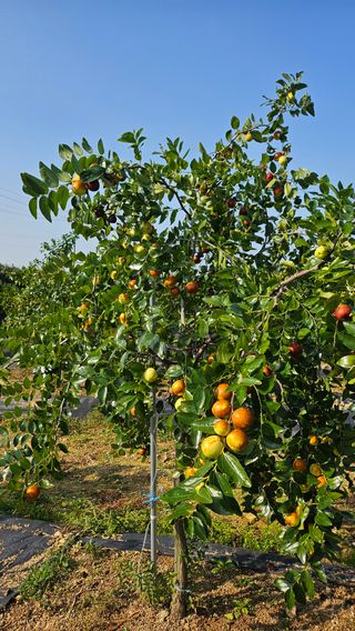 서연님의 작성글 사진