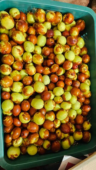 서연님의 작성글 사진