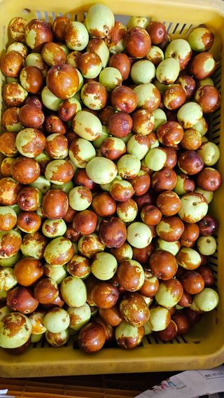 서연님의 작성글 사진