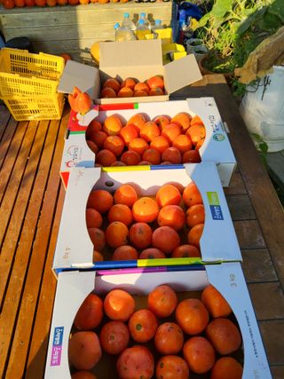 자두20651님의 자유주제 · 사진전 작성글 사진