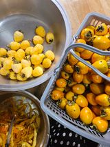 팜모닝 감·영농일지 게시글 이미지