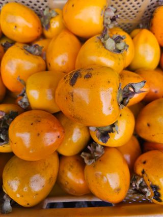 고사리.밤.육쪽마늘님의 감 · 영농일지 작성글 사진