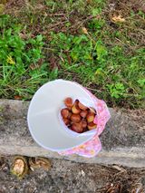 팜모닝 기타작물·영농일지 게시글 이미지