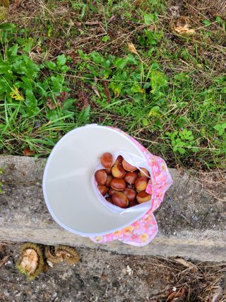 홍가네수정농장님의 기타작물 · 영농일지 작성글 사진