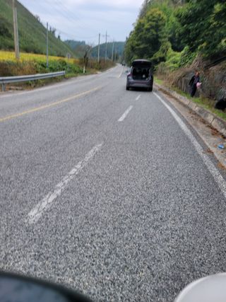 홍가네수정농장님의 기타작물 · 영농일지 작성글 사진