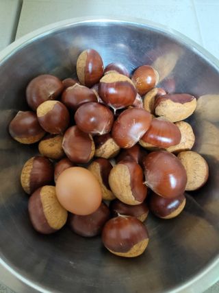 홍가네수정농장님의 기타작물 · 영농일지 작성글 사진