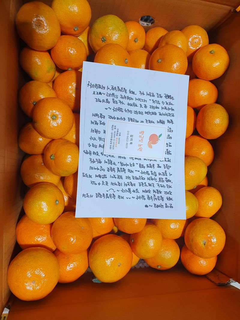 김미옥님의 장터 판매 상품 [제주감귤 조생감귤 대과 9kg] 첨부 사진